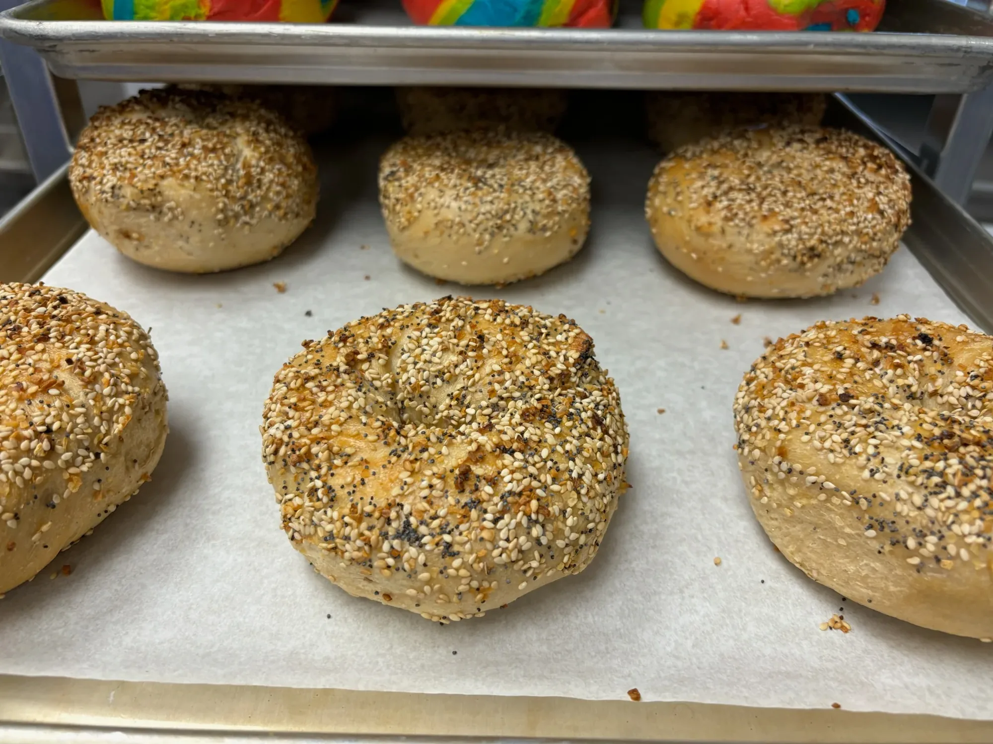 Fresh sesame and everything bagels cooling on a tray
